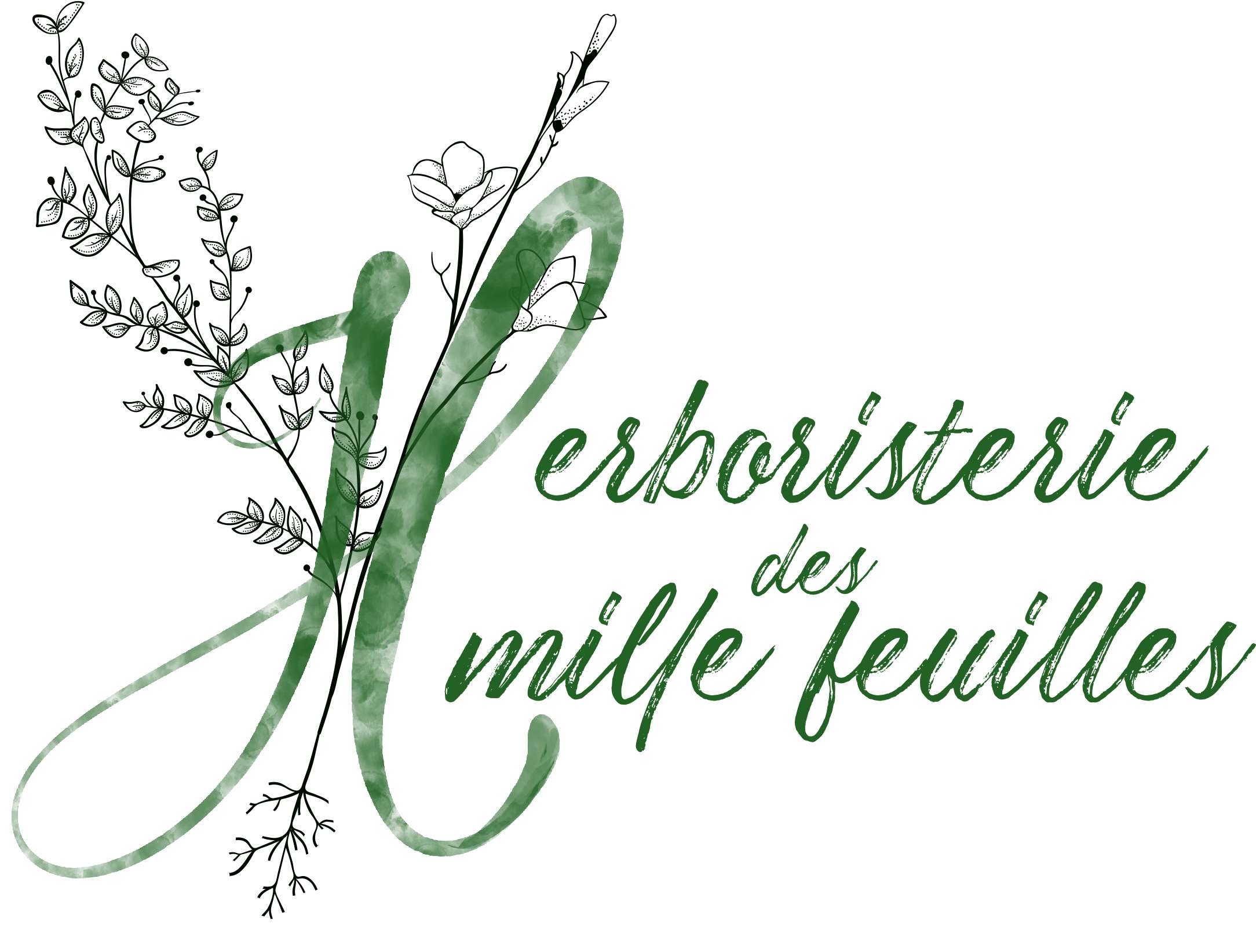 Herboristerie Des Mille Feuilles Annuaire Des Herboristes Plantes Et