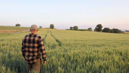 Une biodiversité vaut mieux  que deux insecticides