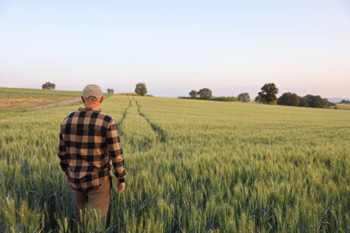 Une biodiversité vaut mieux  que deux insecticides