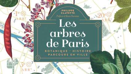 Les Arbres de Paris - Philippe Clayette