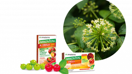 Arkovital Acérola Boost