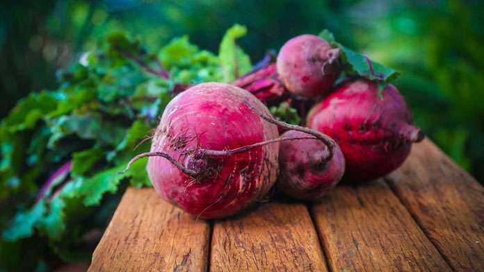 Betterave rouge (Beta vulgaris)