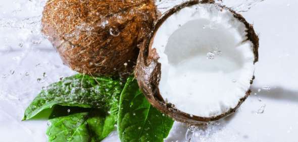 Les bienfaits de l'eau de coco sur la santé