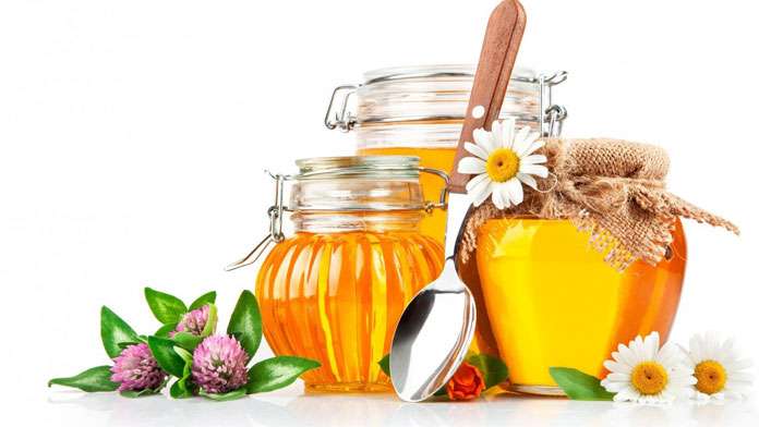 Miel de Manuka, le plus puissant des miels antibactérien - Le Mag