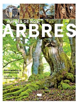 Auprès de nos arbres