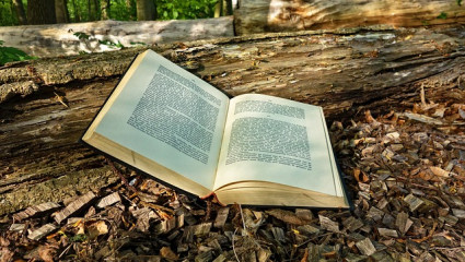 Livres : Les routes du miel, La pâtisserie crue et Le guide de l’huile de coco