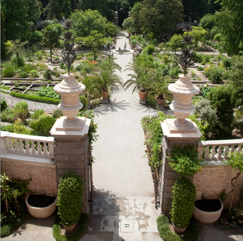 Jardin botanique de Padoue