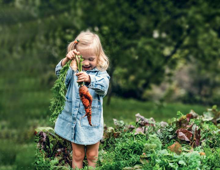 En symbiose avec l'environnement microbien