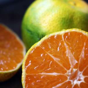 Mandarine verte (Citrus reticulata)