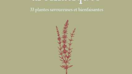 Les herbes aromatiques - Pauline de Voghel