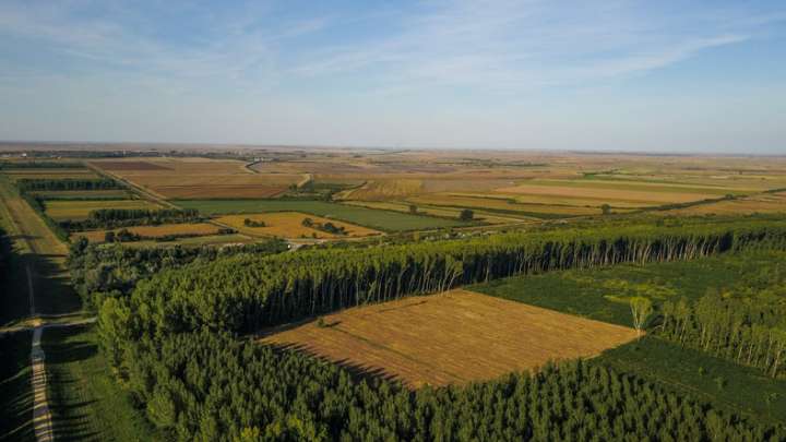 Agroforêsterie