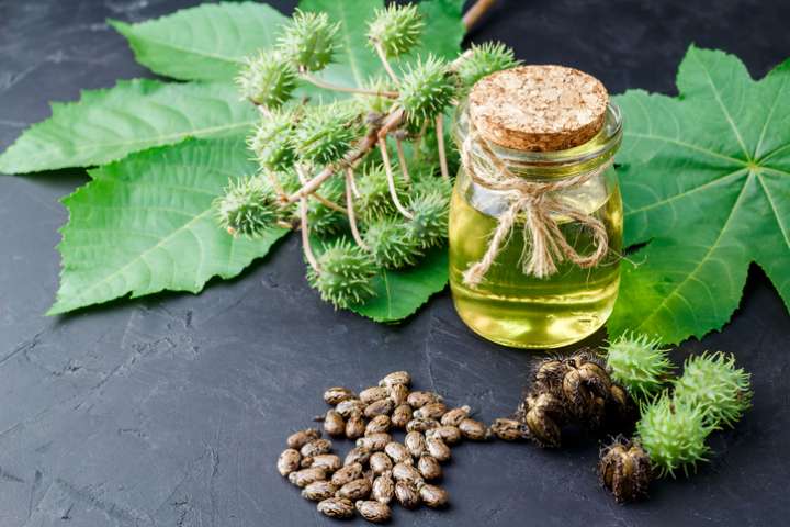 L'huile de ricin pour la beauté des cheveux- Plantes et Santé