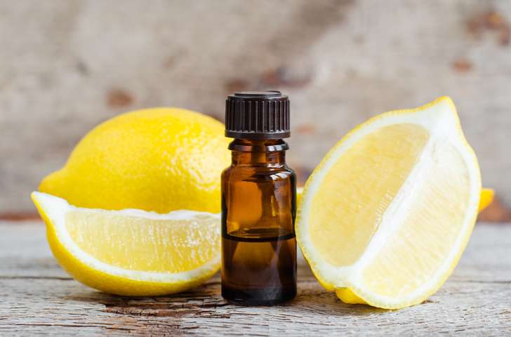 Conseils de soins et solutions aux problèmes du citronnier