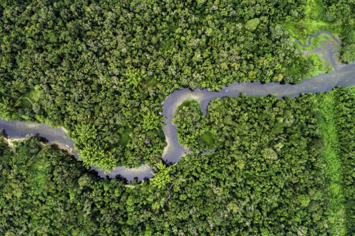 Forêts et rivières d'Amazonie, même combat