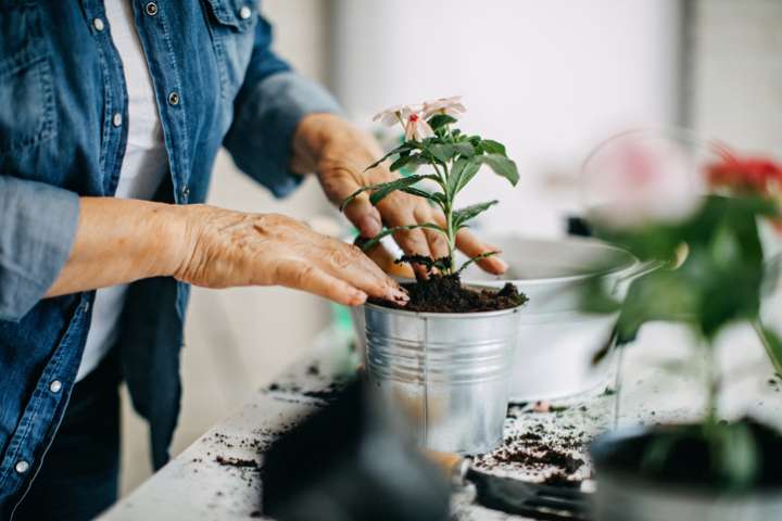 Bénéfices santé jardinage personnes âgées