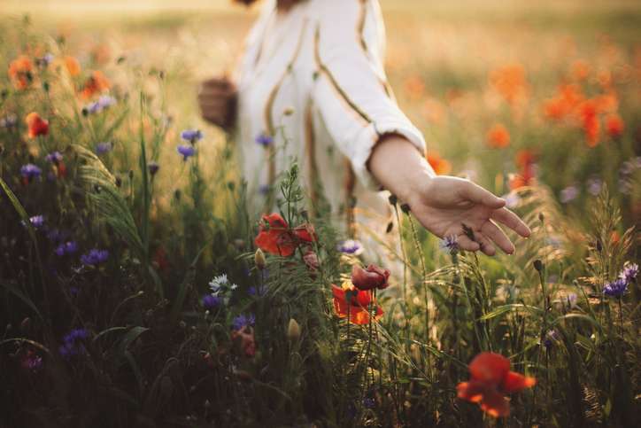 Cultiver Un Rapport Sensible Au Végétal- Plantes Et Santé