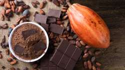 Chocolat et cacao : misez sur le noir et le cru