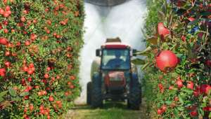 Justice pour toutes les victimes de pesticides