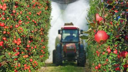 Justice pour toutes les victimes de pesticides