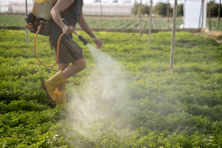 Pesticides : aussi néfastes que le tabac ?