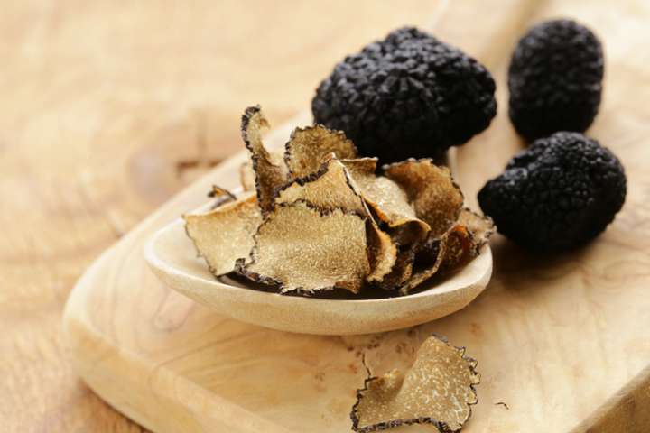 La truffe noire du Périgord, un diamant dans l'assiette- Plantes et Santé