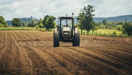 Alzheimer : boosté par le glyphosate ?