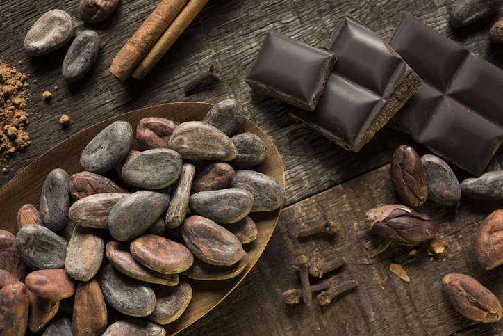 Fèves de cacao crues - Achat, bienfaits et conseils - MesÉpices.com