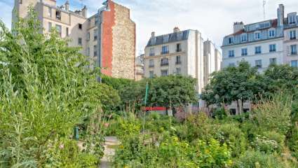 Fumier et compost, probiotiques des sols