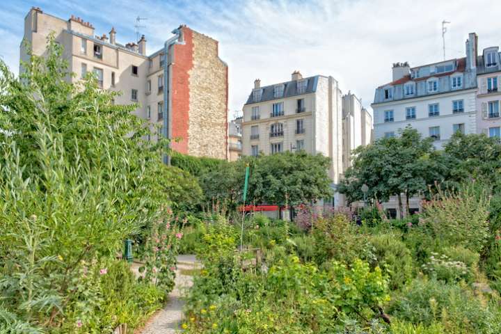 Fumier et compost, probiotiques des sols