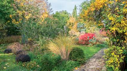 Le jardin d'Entêoulet Magie automnale