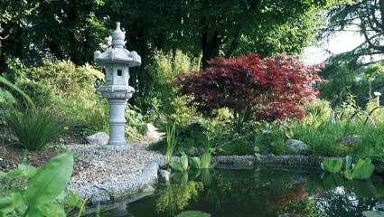 À Grenoble, une fac au jardin ouverte sur le monde