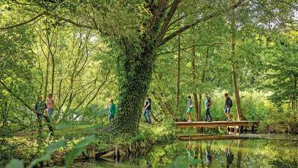 Les hortillonnages d'Amiens - Un pont entre art et nature