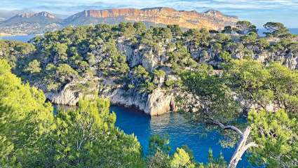 Marseille, il y a un million d’années : un jardin d'Éden ?