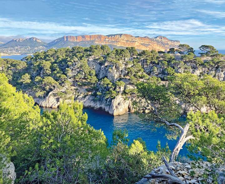 Marseille il y a un million d’années - Un paradis écologique à préserver