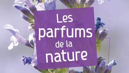 Les parfums de la nature - Roland Salesse