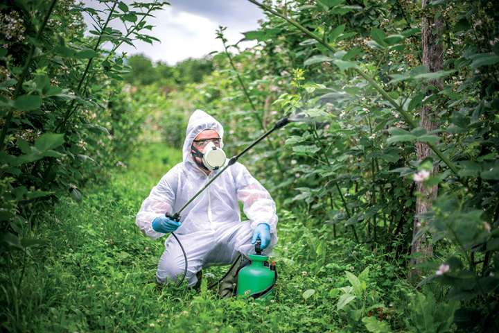 Épandage de pesticides : victoire pour la protection des riverains