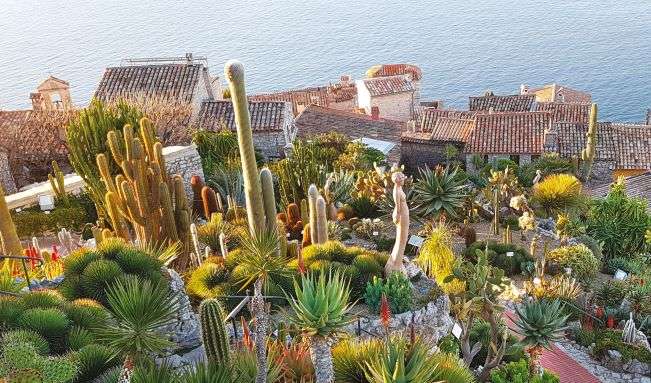 Le jardin suspendu d'èze Un balcon fleuri et piquant sur la Riviera