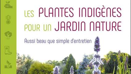 Les plantes indigènes pour un jardin nature