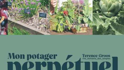 Mon potager perpétuel - Terence Groos