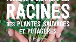 Pouvoirs et bienfaits des racines des plantes sauvages et potagères - Simone Detto