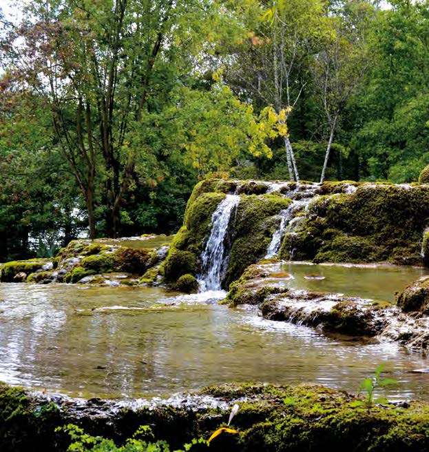 Le jardin des Fontaines