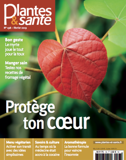 Chaud devant ! Voici le galanga- Plantes et Santé