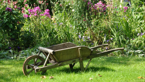 Un espace de plantation obtenu en douceur.